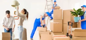 Ap packers and movers nellore