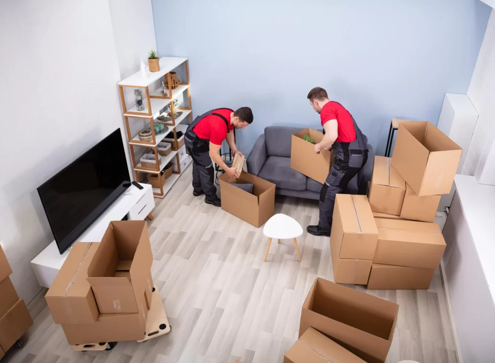 ap packers and movers nellore